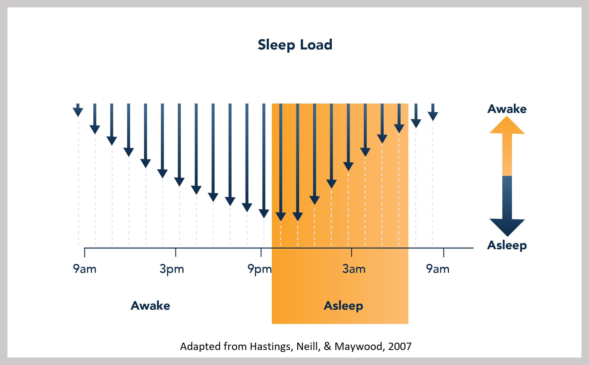 Basics of Sleep - Sleep Load/Process S